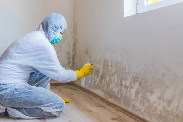 Mold Remediation specialist working in Hyndman